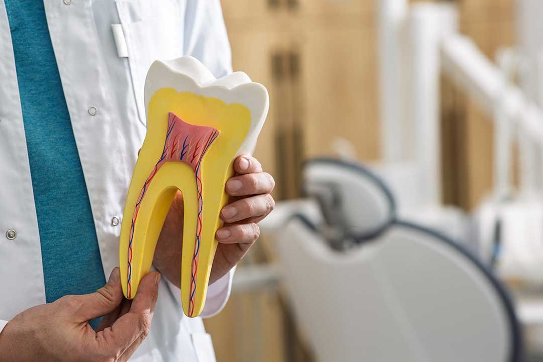Root Canal vs. Extraction: Which One Do You Actually Need